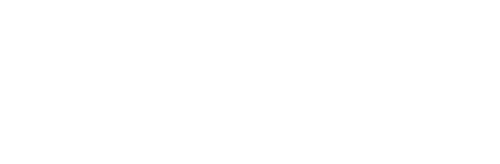 bestbridges logo transparent