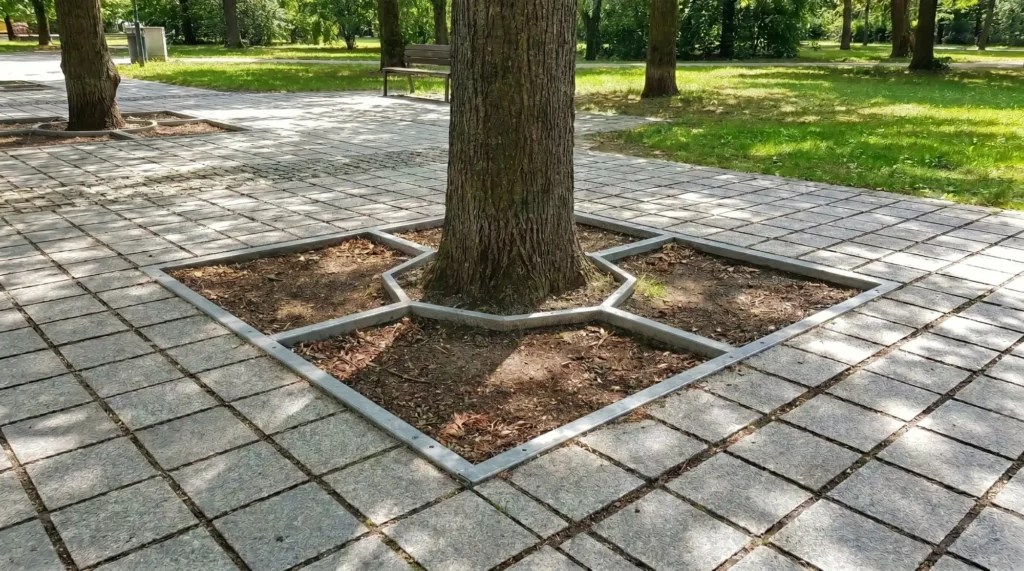 tree grating and protection