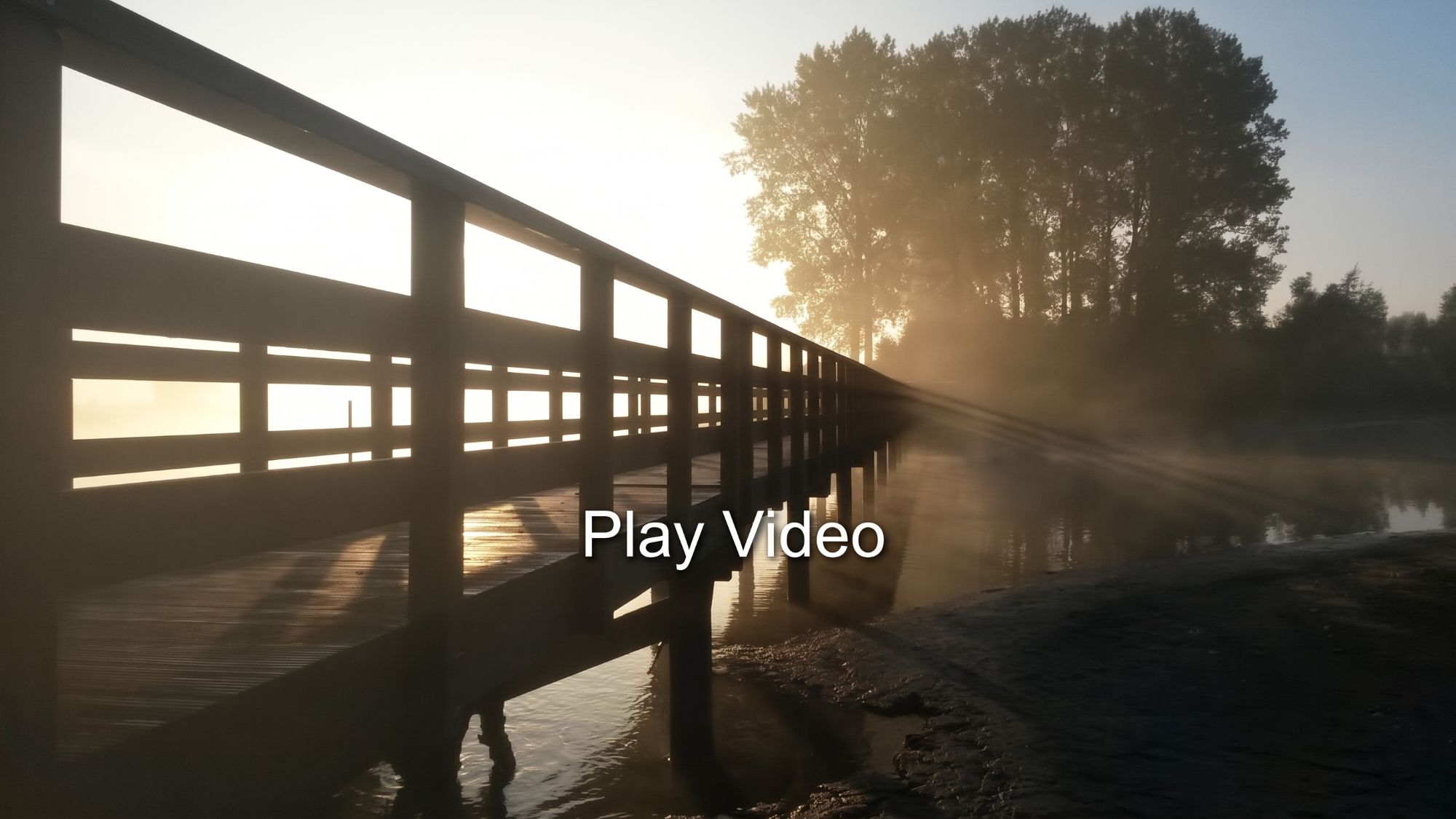 bestbridges walkways and bridges compilation video